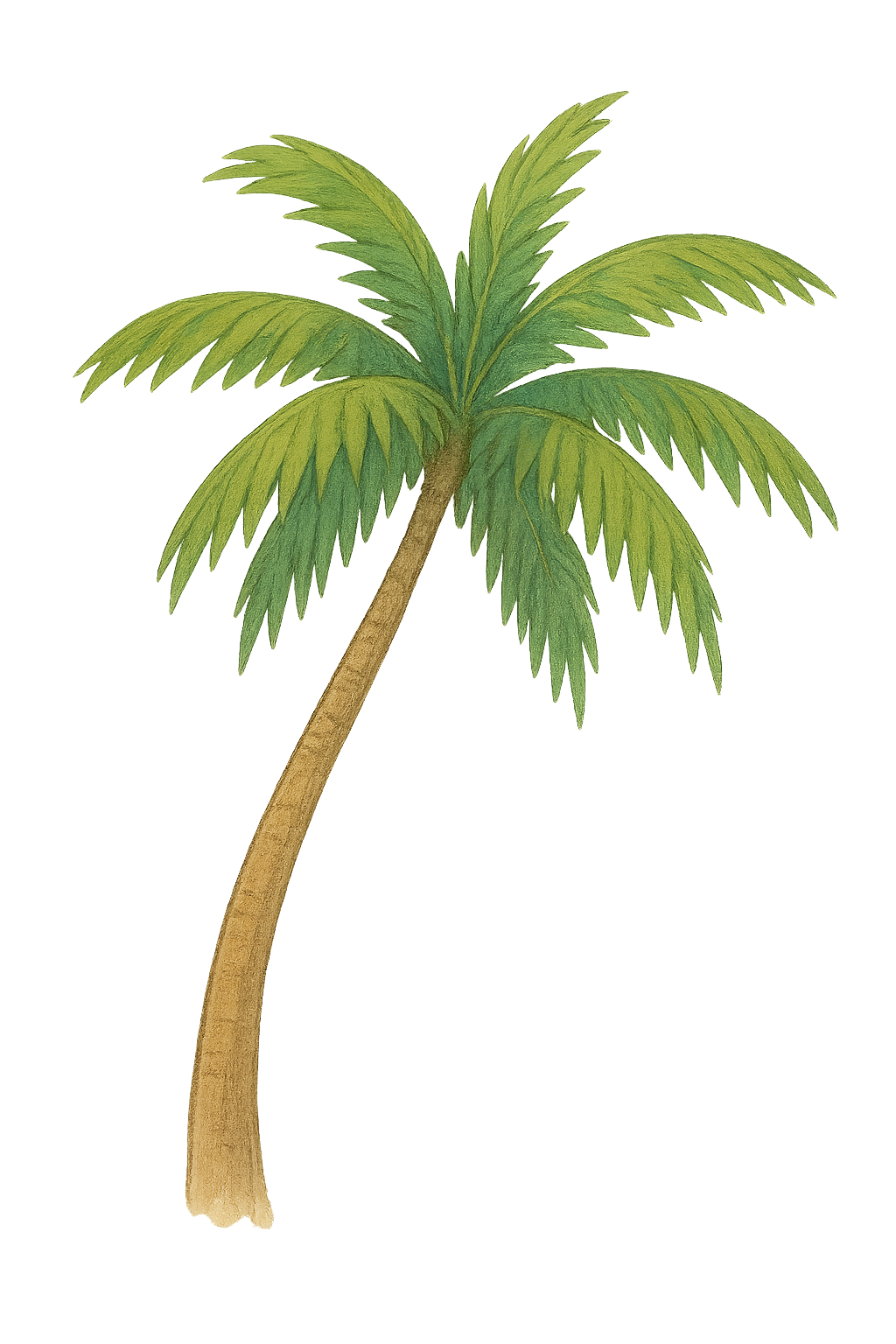 Palm tree decoration